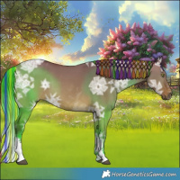 Horse Color:Painted Chocolate Bay Ice Dun Tobiano Rabicano 