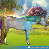 Horse Color:Painted Chocolate Bay Dun Tobiano 