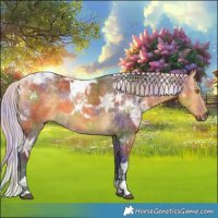 Horse Color:Nacre Silver Buckskin Ice Tobiano 