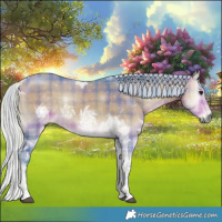 Horse Color:Watercolor Plaid  Silver Buckskin Ice Onyx Tobiano 