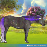 Horse Color:Watercolor Plaid  Midnight Buckskin Ice Dun 