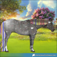 Horse Color:Painted Nacre Midnight Silver Buckskin Ice Dun Tobiano 