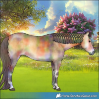 Horse Color:Nacre Buckskin Onyx 