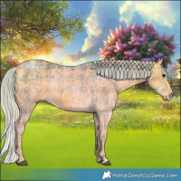 Horse Color:Plaid  Silver Buckskin Ice 