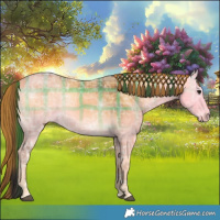Horse Color:Plaid  Buckskin Ice Onyx 