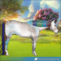 Horse Color:Platinum Painted Bay Ice Onyx Rabicano 