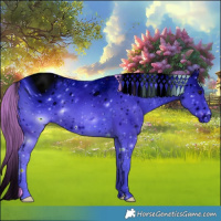 Horse Color:ERROR: UNKNOWN ANOMALY