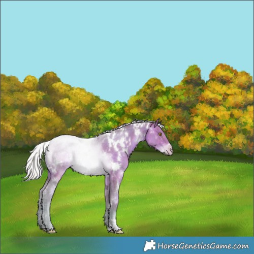 Horse Color:Watercolor White Spotted Silver Brown Pearl Mushroom 