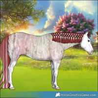 Horse Color:Painted Chocolate Bay Ice Dun Splash 