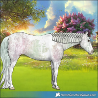 Horse Color:Watercolor Silver Brown Ice Dun Tobiano 
