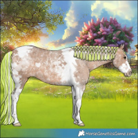 Horse Color:Painted Silver Bay Ice Dun Splash Tobiano 