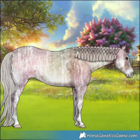 Horse Color:Silver Bay Ice Onyx 