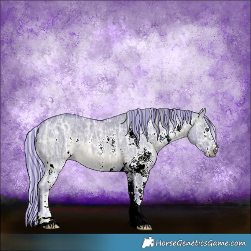 Horse Color:Painted Watercolor White Spotted Silver Brown Chinchilla Ice Dun 