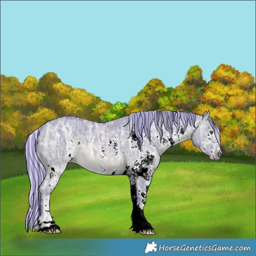 Horse Color:Painted Watercolor White Spotted Silver Brown Chinchilla Ice Dun 