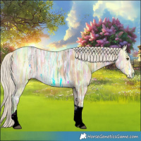 Horse Color:Silver Buckskin Ice Dun Tobiano Rabicano 