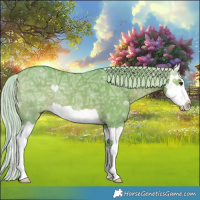 Horse Color:Watercolor Silver Bay Ice Dun Splash 