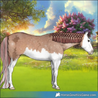 Horse Color:Painted Chocolate Bay Ice Dun Splash 
