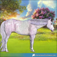 Horse Color:Watercolor Silver Bay Ice Dun 