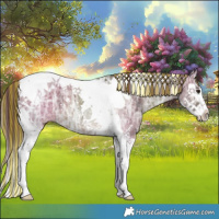 Horse Color:Painted Chocolate Bay Ice Dun Splash Tobiano 