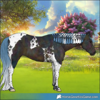 Horse Color:Platinum Watercolor Midnight Chocolate Bay Ice Tobiano 