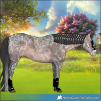 Horse Color:Platinum White Spotted Bay Ice Splash 