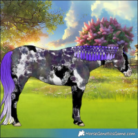 Horse Color:Platinum Watercolor White Spotted Midnight Buckskin Ice Splash Tobiano 