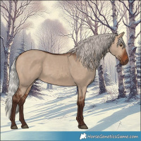 Horse Color:Silver Brown Dun 