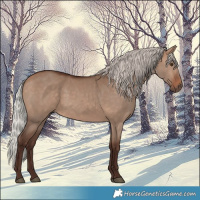 Horse Color:Silver Brown Dun 