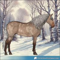 Horse Color:Silver Brown Dun and Silver Brown Dun