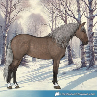 Horse Color:Silver Brown Dun