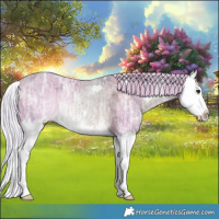 Horse Color:Watercolor Silver Brown Ice Dun Splash Rabicano