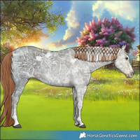 Horse Color:Liver Chestnut Ice Tobiano 