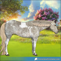 Horse Color:Chocolate Palomino Ice Tobiano 