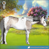 Horse Color:Liver Red Onyx Ice Splash Tobiano Rabicano