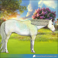 Horse Color:Watercolor Liver Red Onyx Ice Splash Rabicano 