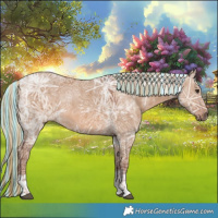 Horse Color:Painted Red Dun Ice Tobiano 