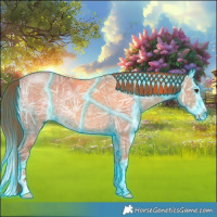 Horse Color:Thunderstruck Red Dun Ice Splash 