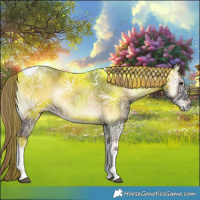 Horse Color:Liver Red Onyx Ice Tobiano Rabicano 