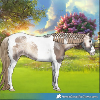 Horse Color:Liver Red Onyx Ice Tobiano Rabicano 