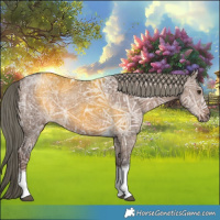 Horse Color:Liver Red Dun Ice Mushroom Tobiano 