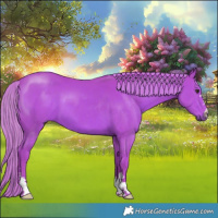 Horse Color:Watercolor Liver Chestnut 