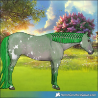 Horse Color:Painted Watercolor White Spotted Liver Red Dun 