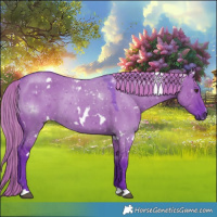 Horse Color:Watercolor White Spotted Liver Red Dun 
