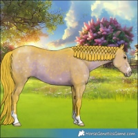 Horse Color:Watercolor Liver Chestnut 