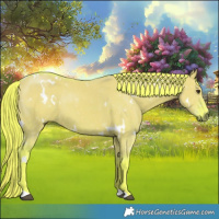 Horse Color:Watercolor White Spotted Liver Red Dun 