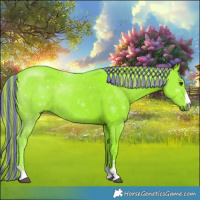 Horse Color:Painted Watercolor Liver Chestnut 