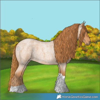 Horse Color:Red Roan Tobiano 