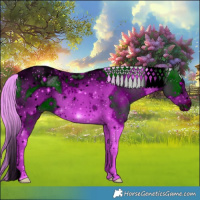 Horse Color:ERROR: UNKNOWN ANOMALY