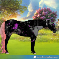 Horse Color:ERROR: UNKNOWN ANOMALY