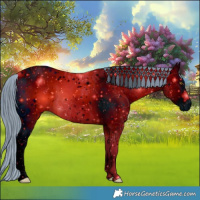 Horse Color:ERROR: UNKNOWN ANOMALY